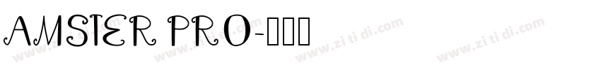 AMSTER PRO字体转换